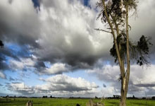 绿茵史诗：葡罗之巅，一场关乎荣耀的生死对决！