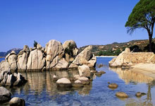 云南队客场绝杀广西，一战定乾坤，王者之路再添辉煌！