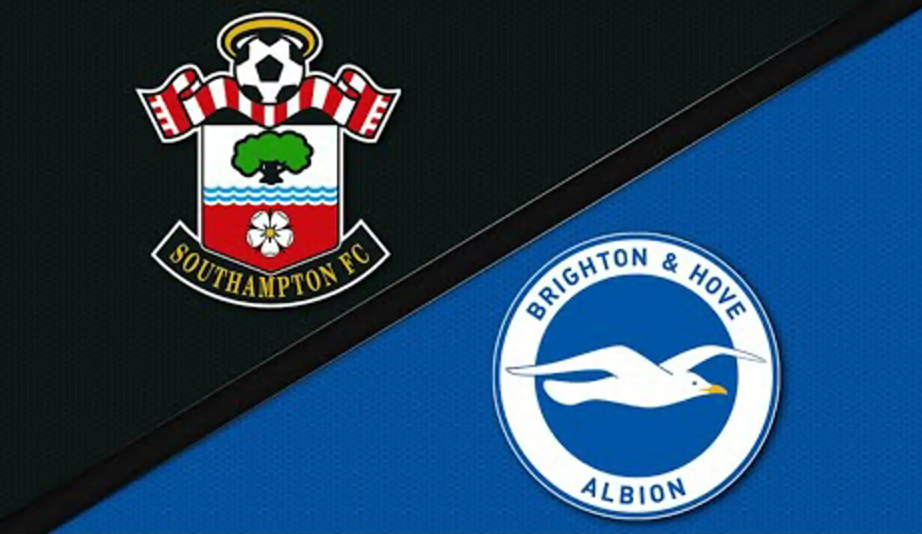 关于南安普顿主场不敌，遭遇连败境地的信息