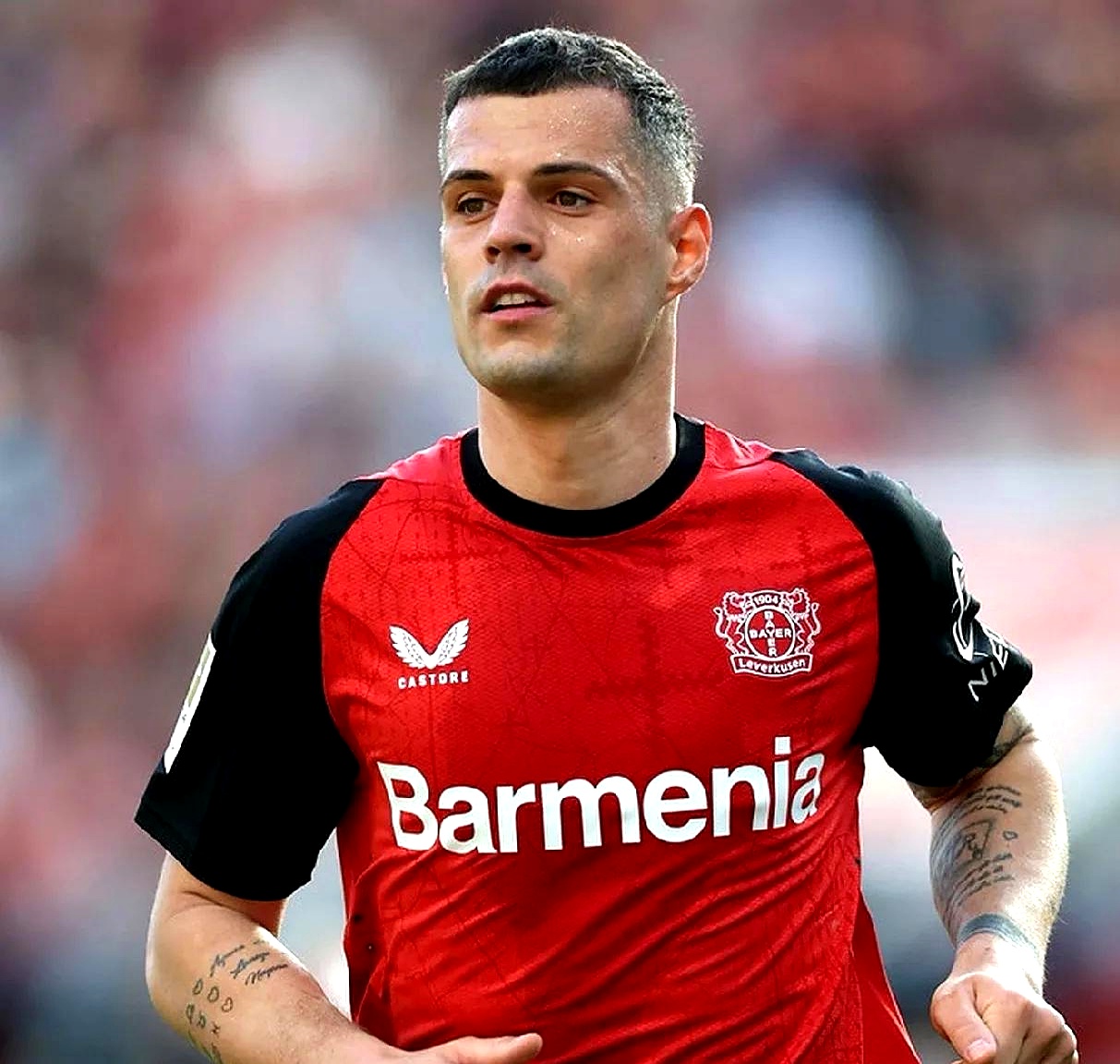 尼斯主帅展望球队未来发展方向的简单介绍